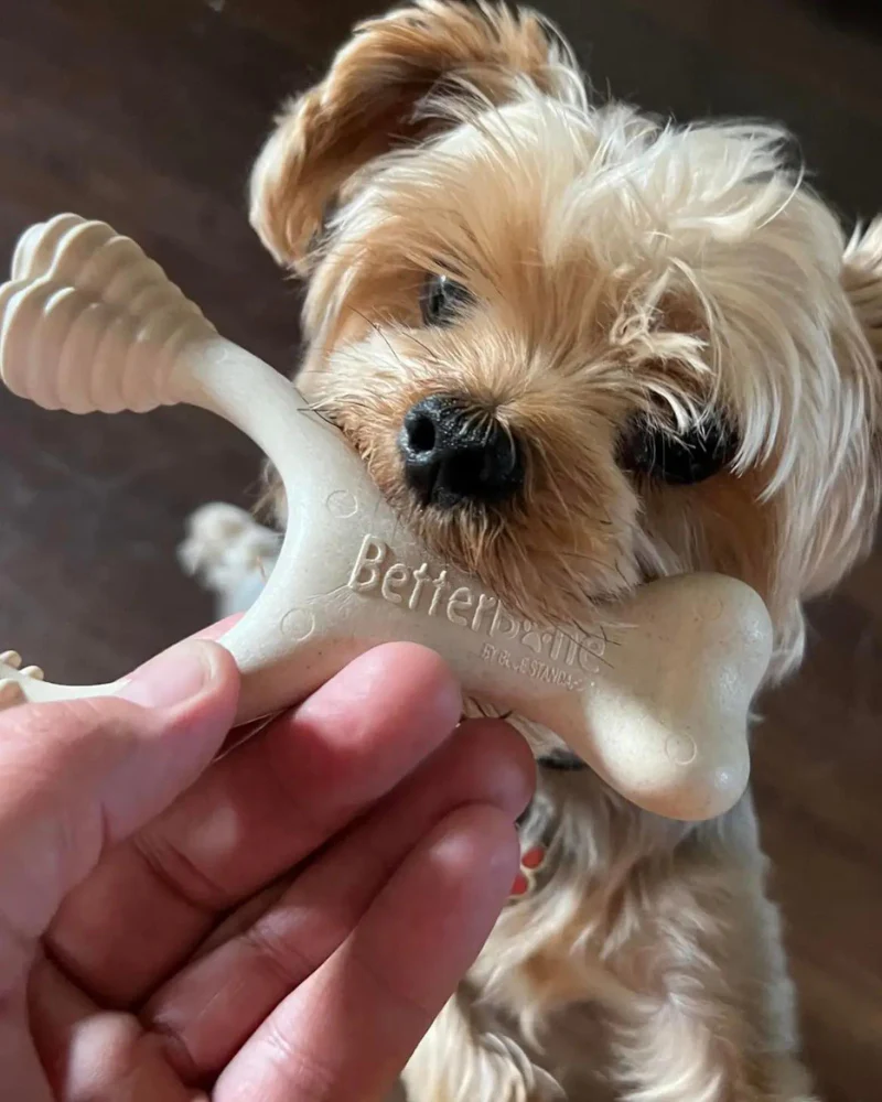 Natural Hypoallergenic Eco-Friendly Dog Chew Toy (Beef Flavor - Soft) - Image 9