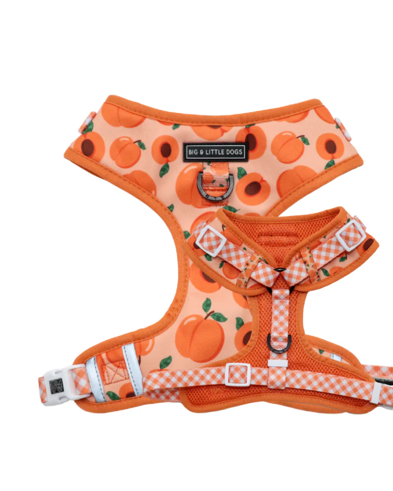 Adjustable Dog Harness in Just Peachy << FINAL SALE >> - Image 3