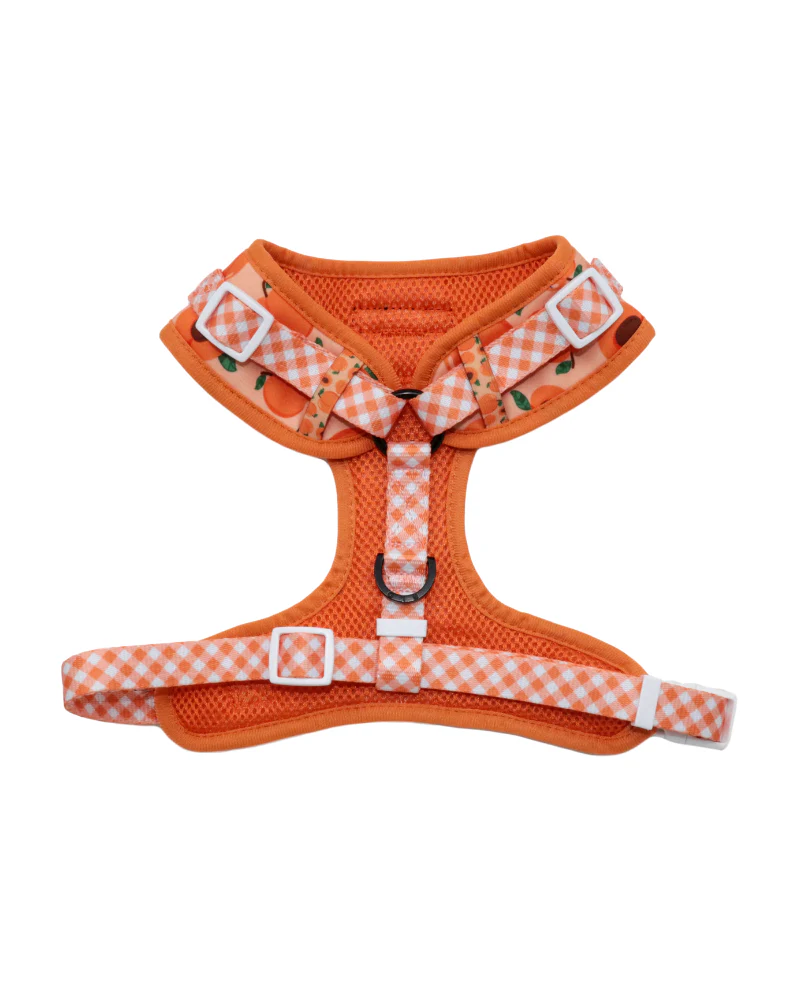 Adjustable Dog Harness in Just Peachy << FINAL SALE >> - Image 4