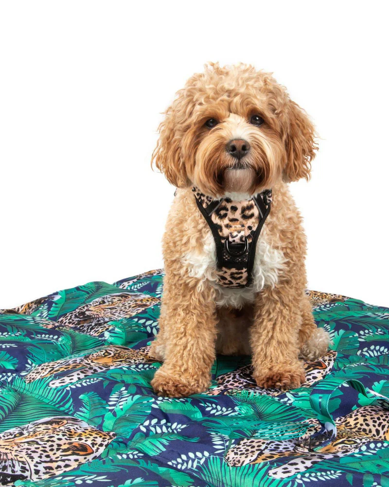 On-The-Go Pet Mat in Tropical Luxe Leopard << FINAL SALE >> - Image 5