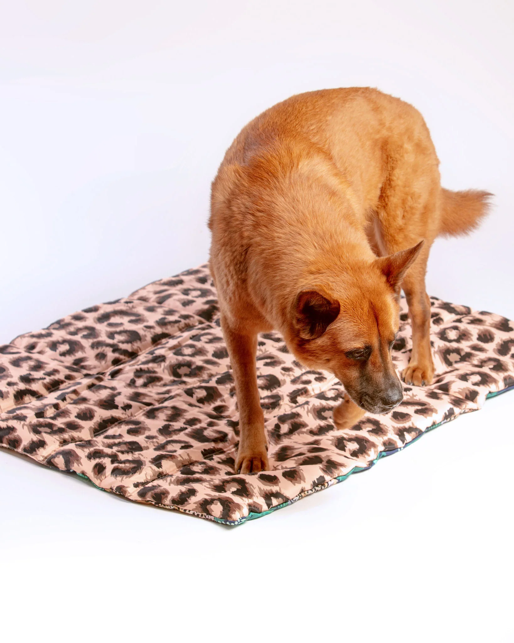 On-The-Go Pet Mat in Tropical Luxe Leopard << FINAL SALE >> - Image 6