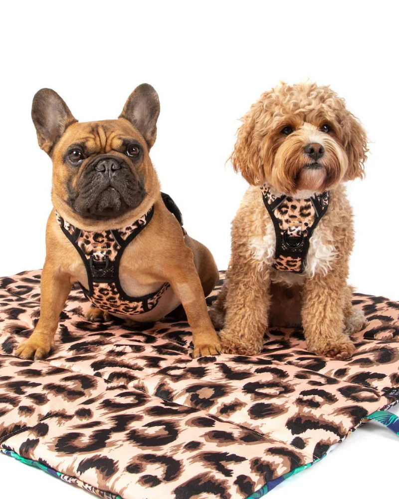 On-The-Go Pet Mat in Tropical Luxe Leopard << FINAL SALE >> - Image 9