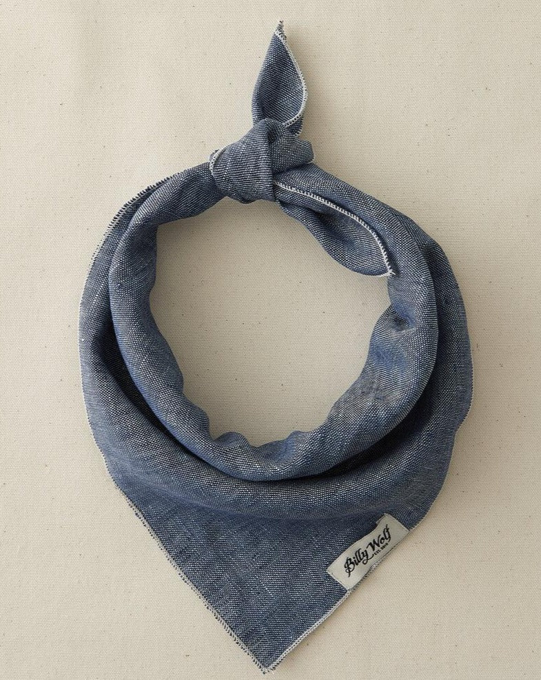 Boyd Linen Dog Bandana - Image 4