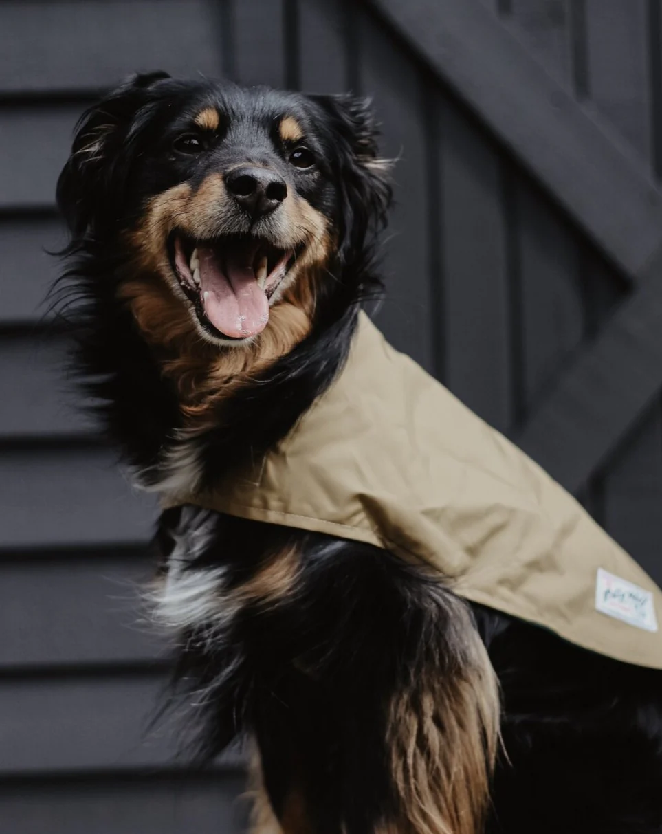 Carson Reversible Dog Raincoat in Green & Tan (Made in the USA) << FINAL SALE >> - Image 7