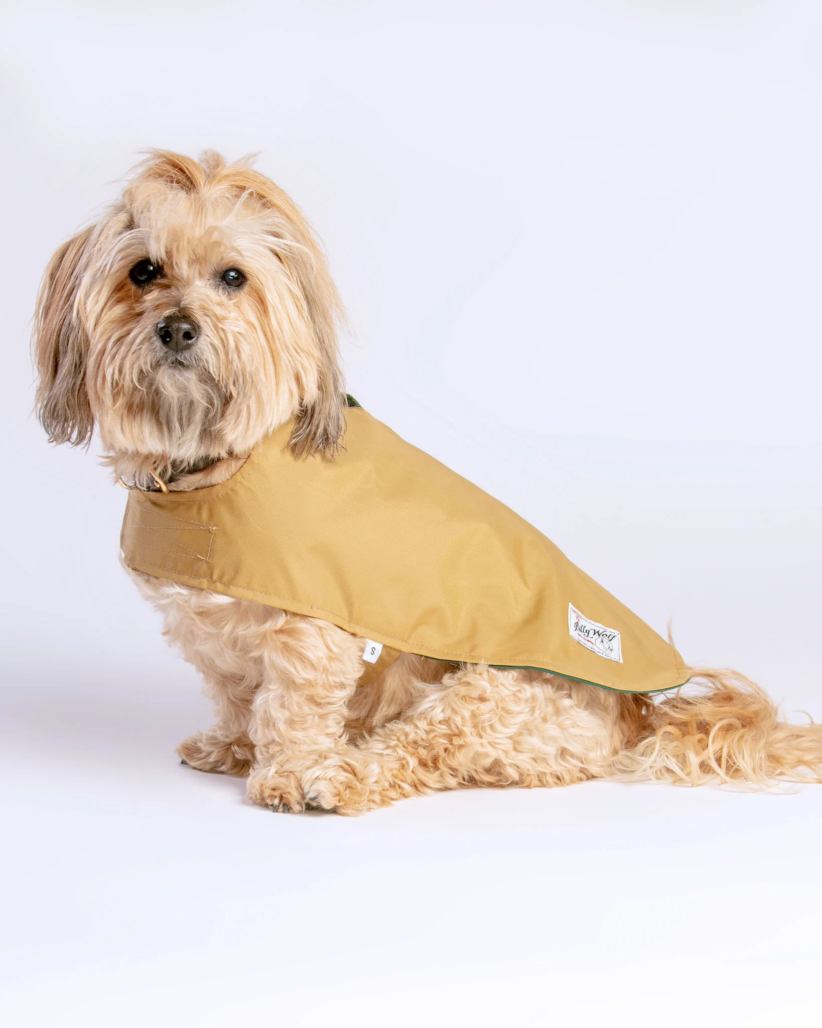 Carson Reversible Dog Raincoat in Green & Tan (Made in the USA) << FINAL SALE >> - Image 8