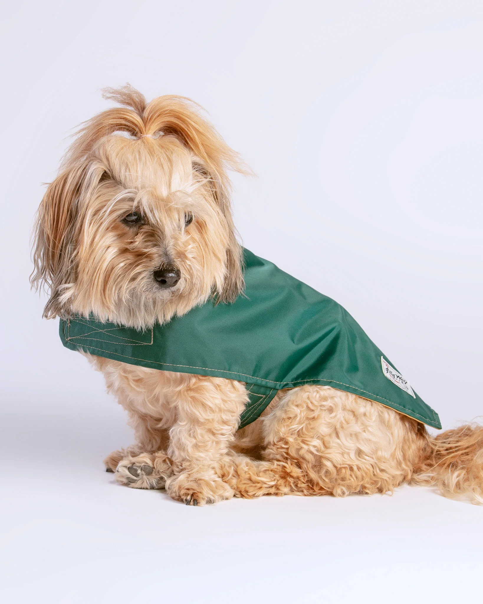 Carson Reversible Dog Raincoat in Green & Tan (Made in the USA) << FINAL SALE >> - Image 9