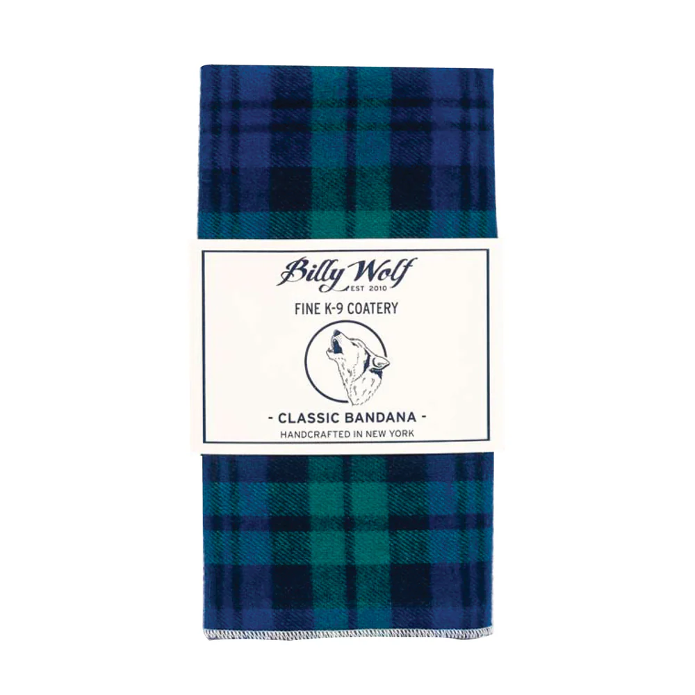 BILLY WOLF | McCadden Bandana - Image 3