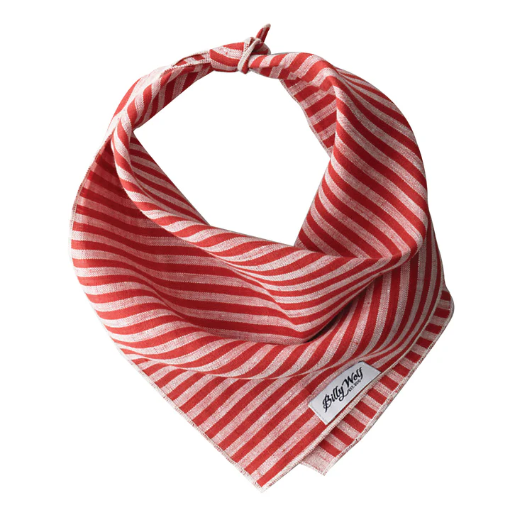 BILLY WOLF | Momo Bandana
