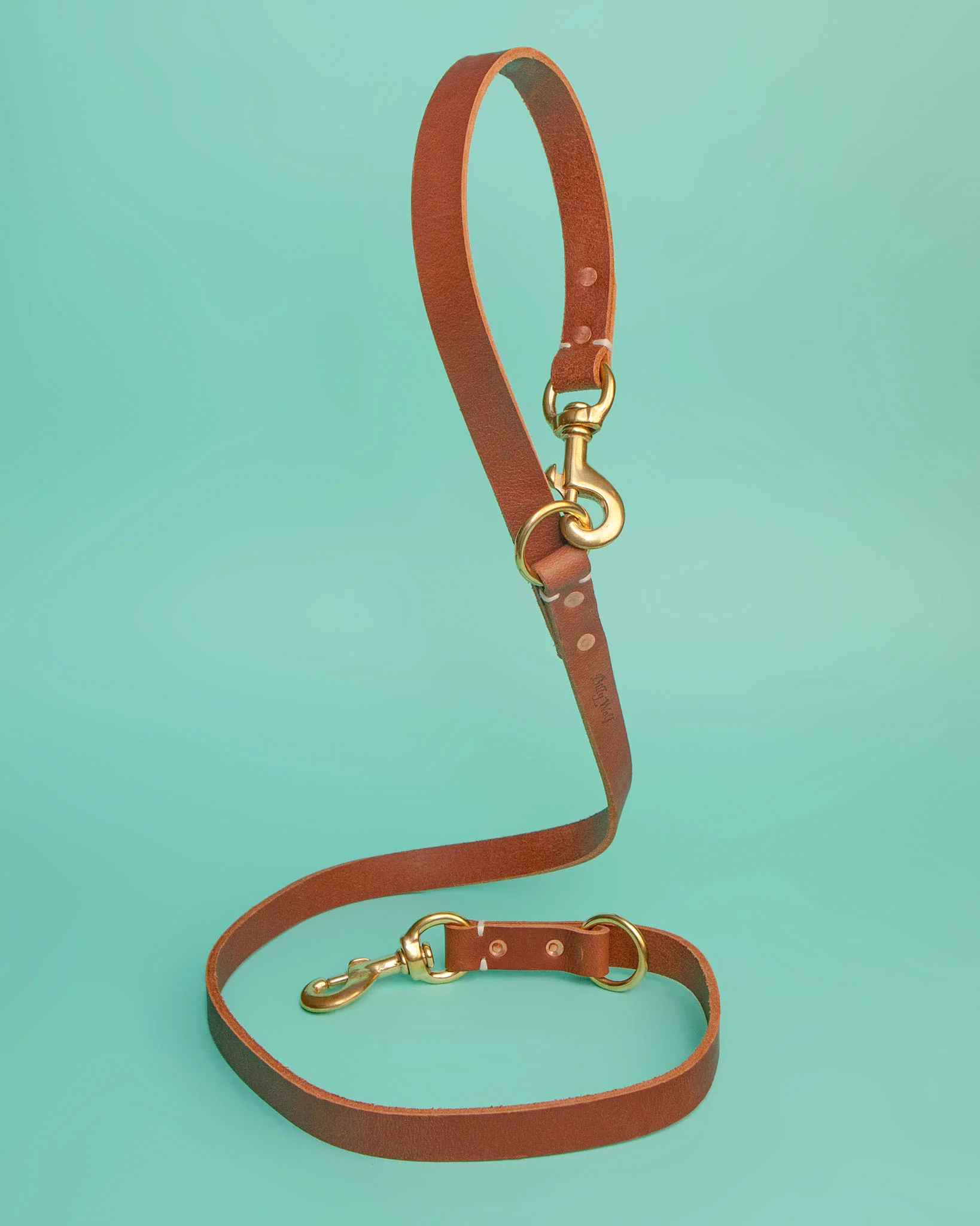 Rambler 3-in-1 Dog Leash in Terra