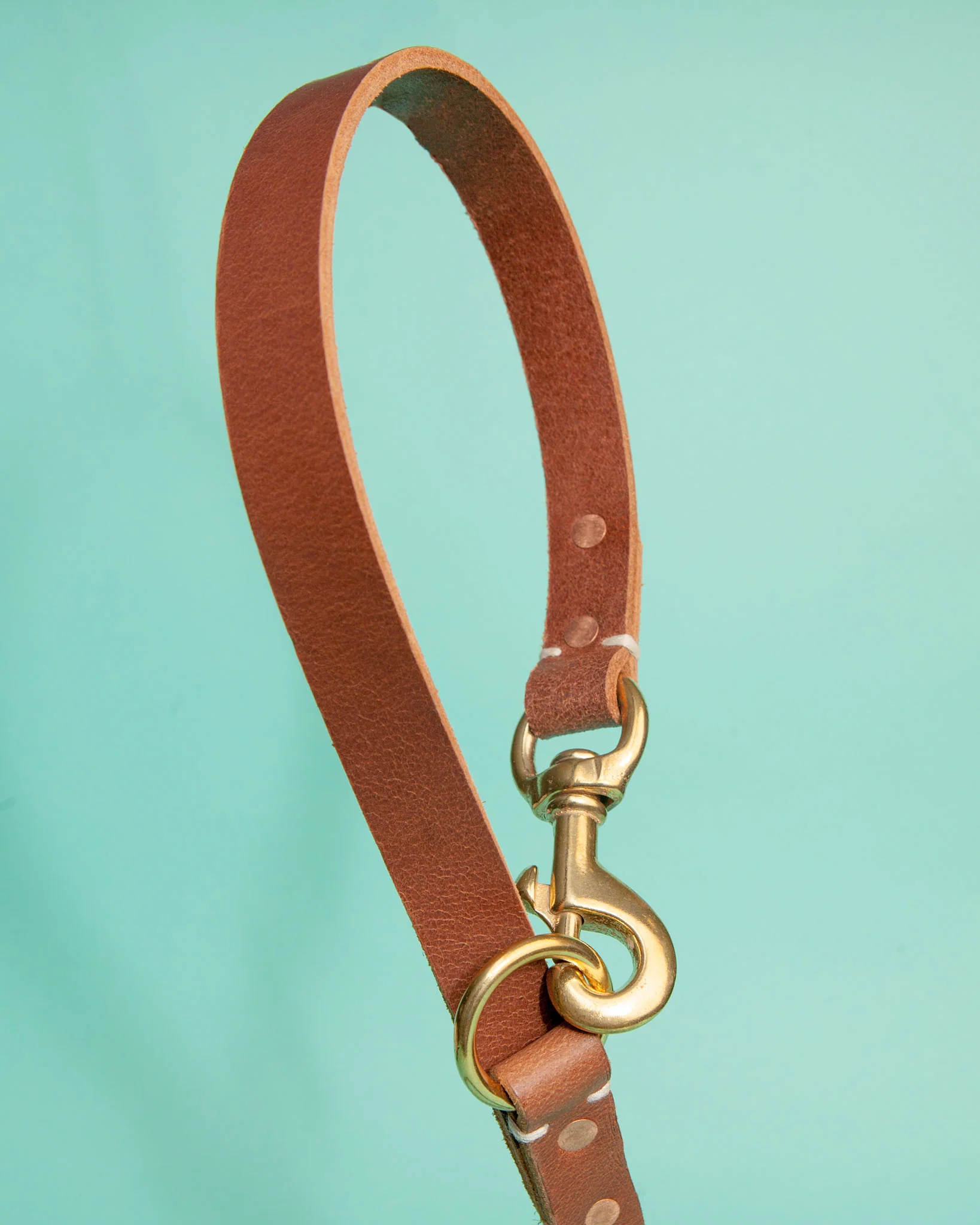 Rambler 3-in-1 Dog Leash in Terra - Image 2
