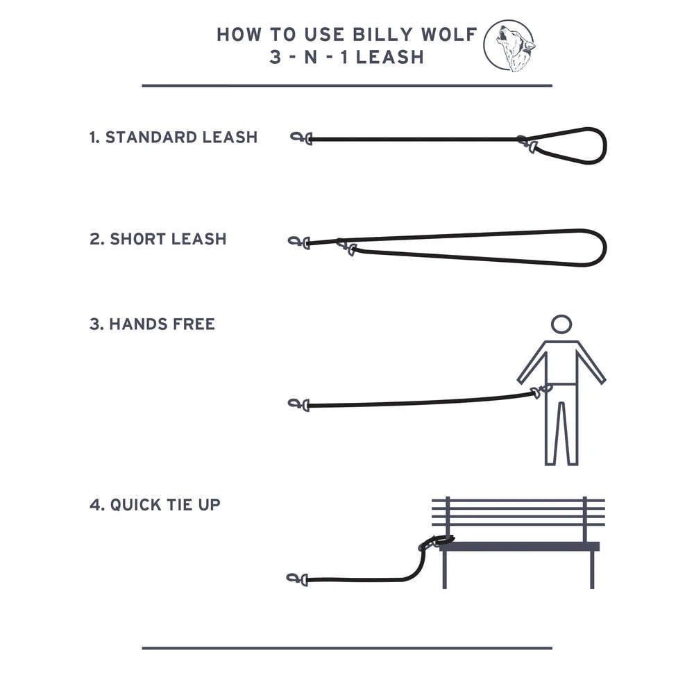 Rambler 3-in-1 Dog Leash in Terra - Image 7