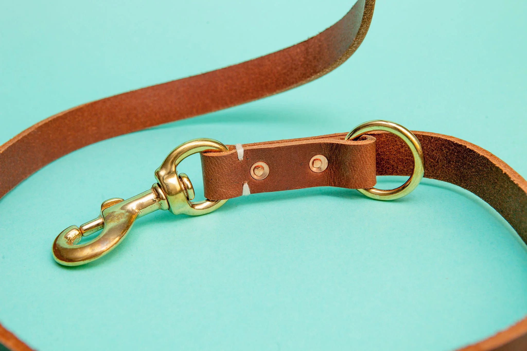 Rambler 3-in-1 Dog Leash in Terra - Image 8