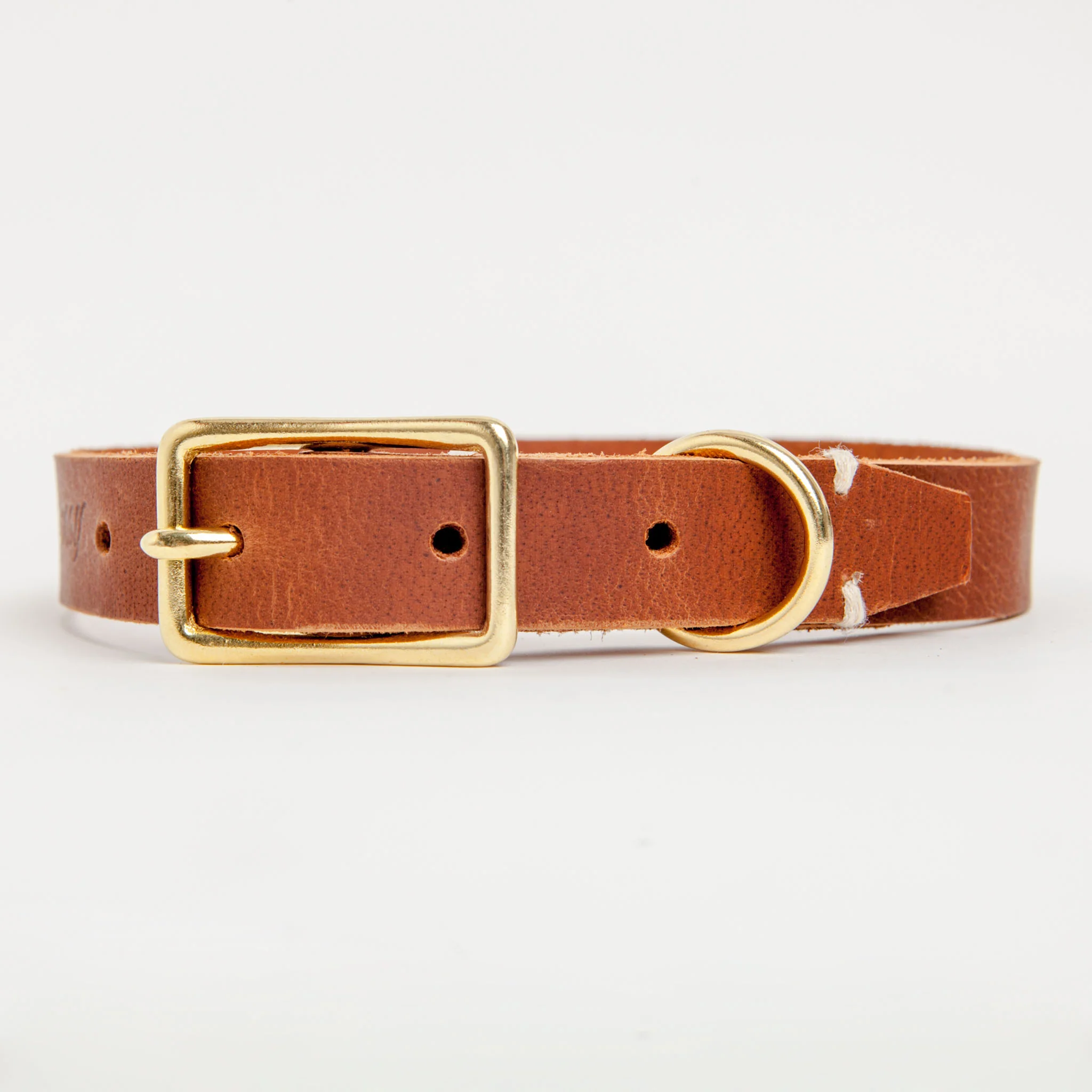 Rambler Leather Dog Collar in Terra - Image 3