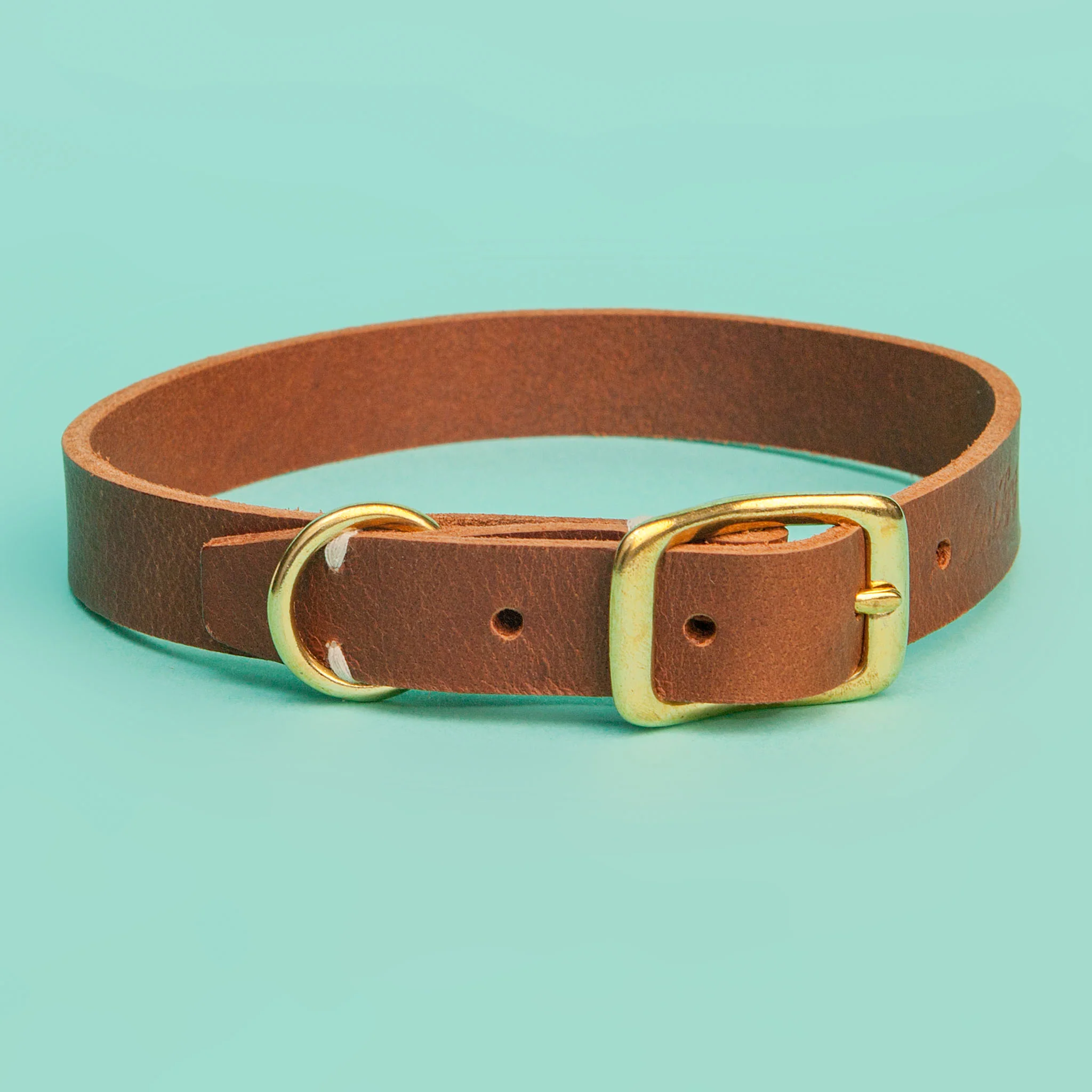 Rambler Leather Dog Collar in Terra - Image 4