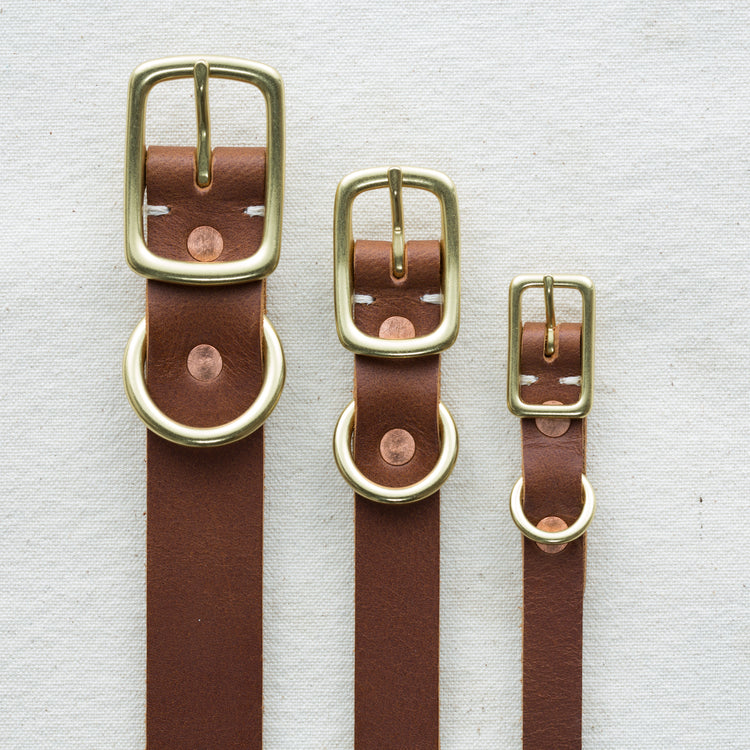 Rambler Leather Dog Collar in Terra - Image 5