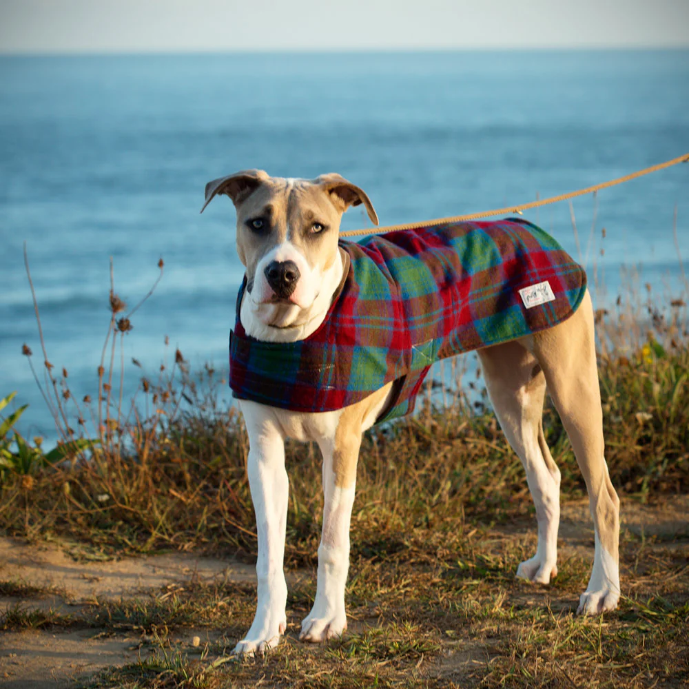 BILLY WOLF | Rupert Waterproof Reversible Coat - Image 4