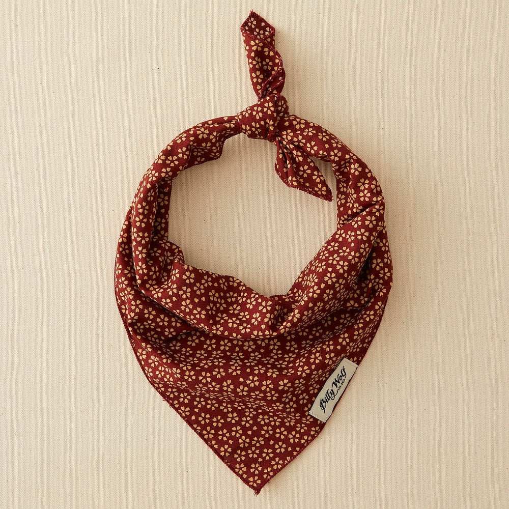 BILLY WOLF | Shelby Bandana