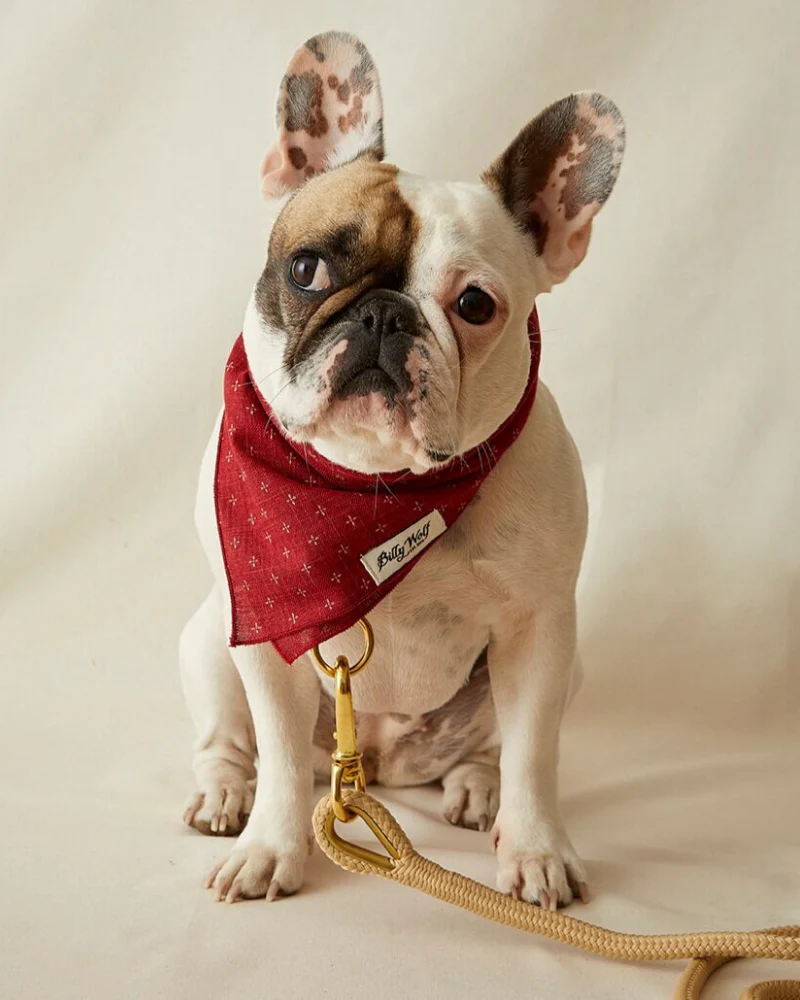 Val Dog Bandana (Made in the USA) << FINAL SALE >> - Image 4