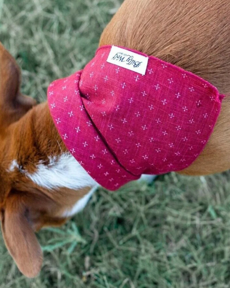 Val Dog Bandana (Made in the USA) << FINAL SALE >> - Image 5