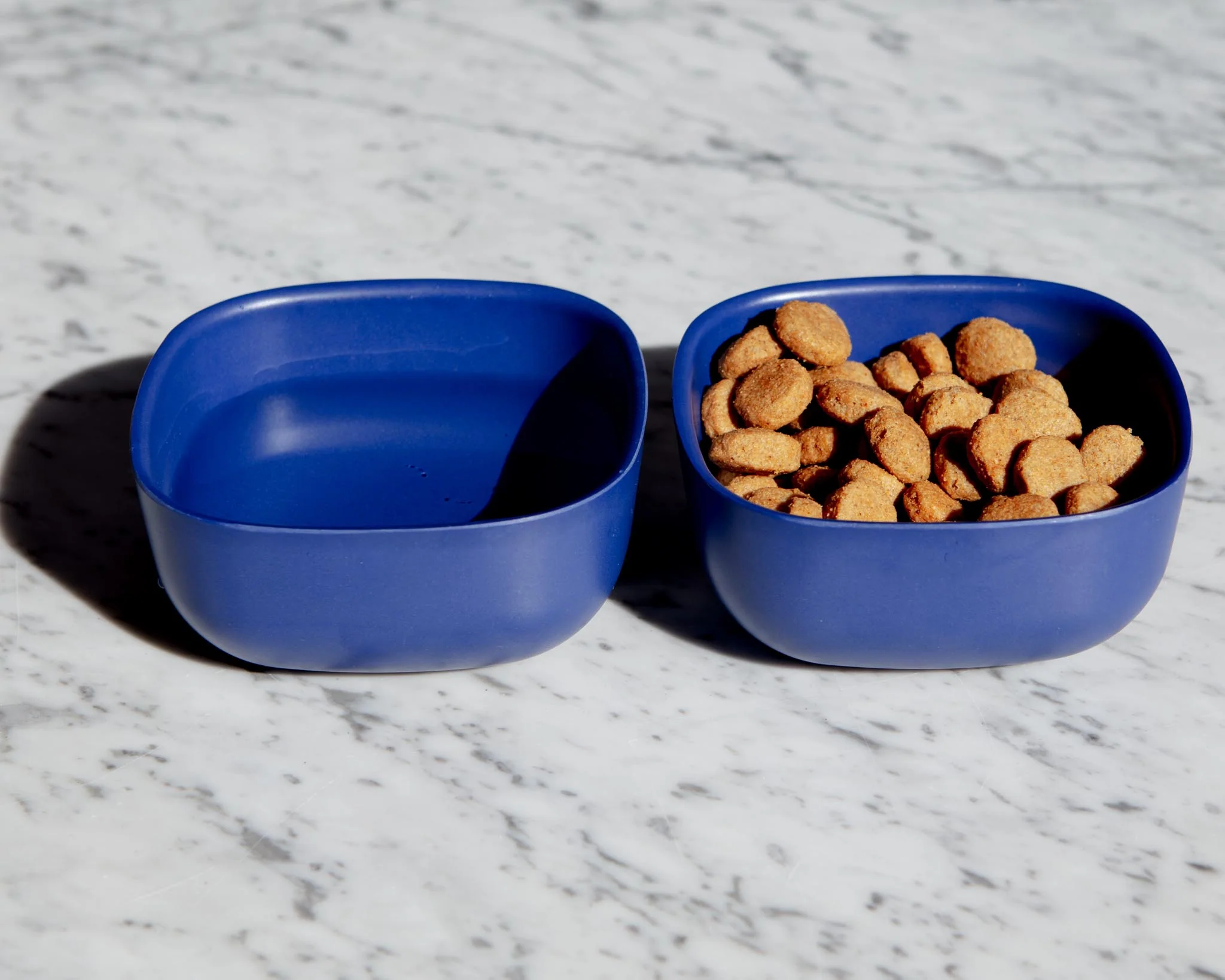 Biobu Gusto Dog Bowl in Royal Blue (FINAL SALE) - Image 4