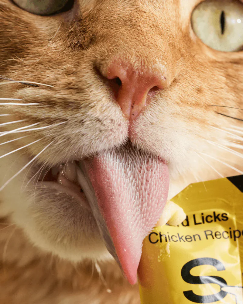 Lickable Pouch Cat Treat (8-Pack) - Image 3