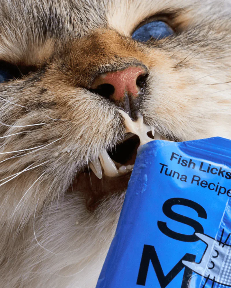 Lickable Pouch Cat Treat (8-Pack) - Image 4