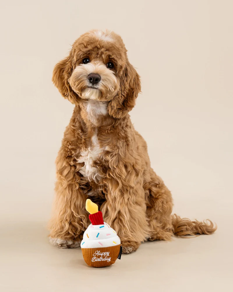 Birthday Cupcake Squeaky Snuffle Dog Toy - Image 4
