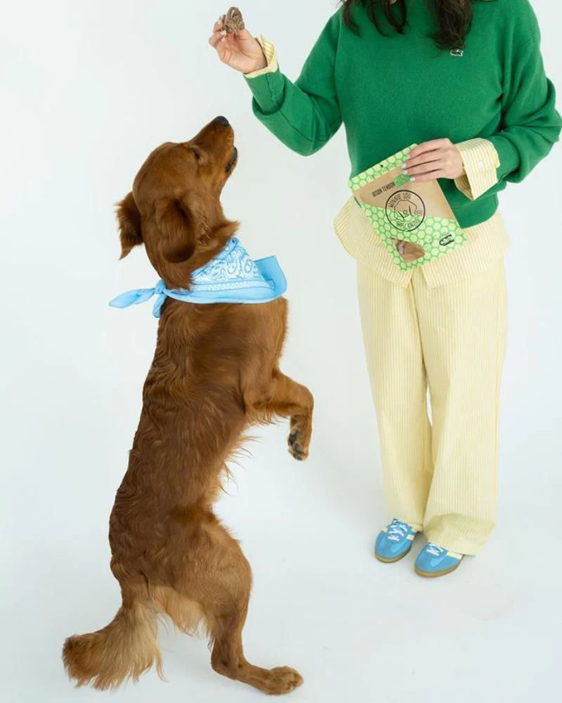 Bison Tendon Dog Chews - Image 3