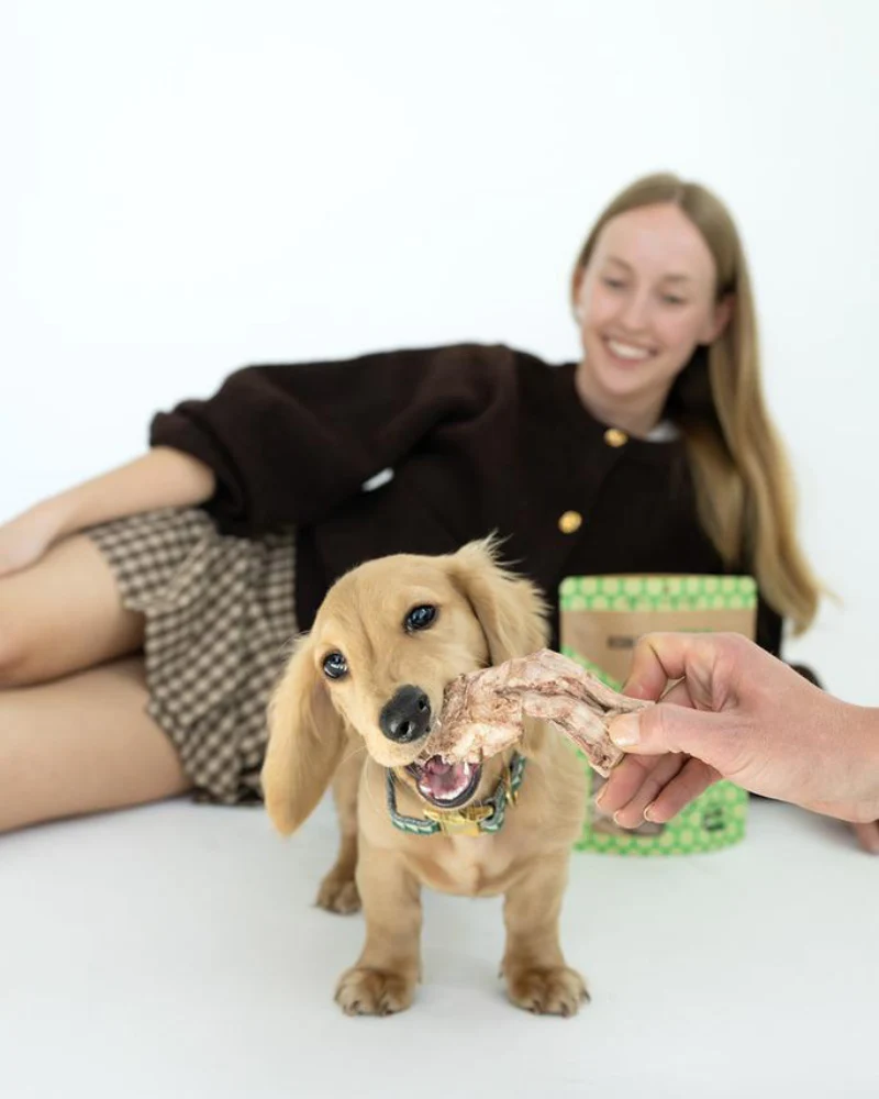 Bison Tendon Dog Chews - Image 6
