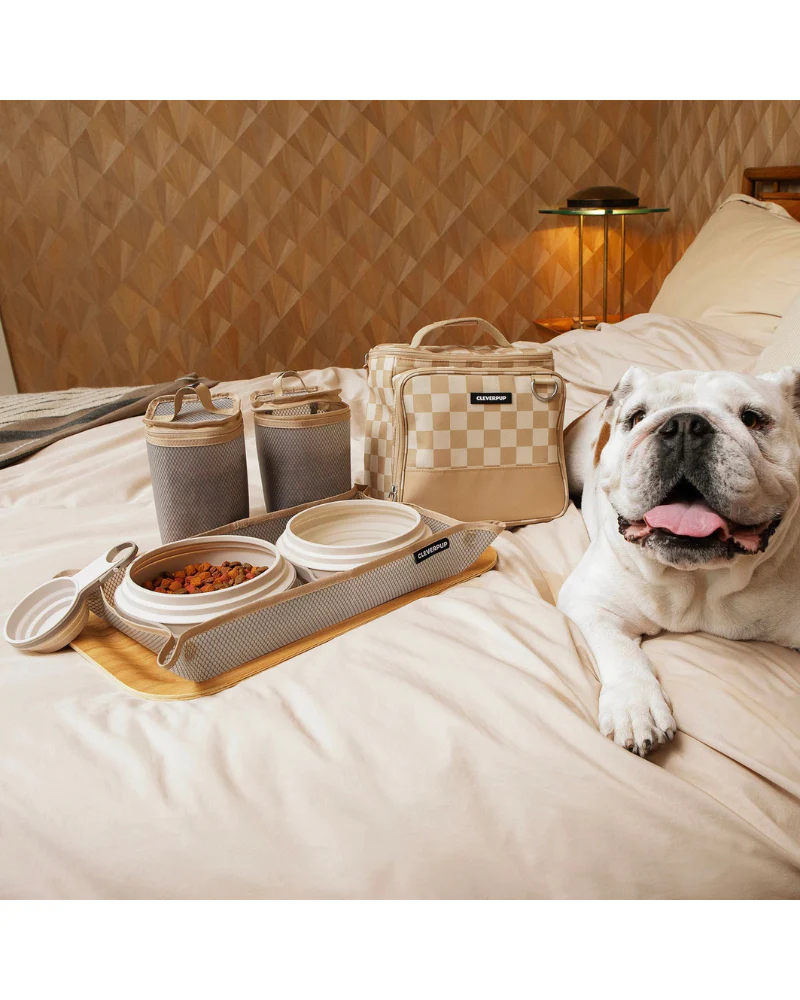 Bistro Box Dog Food Travel Kit in Check - Image 3