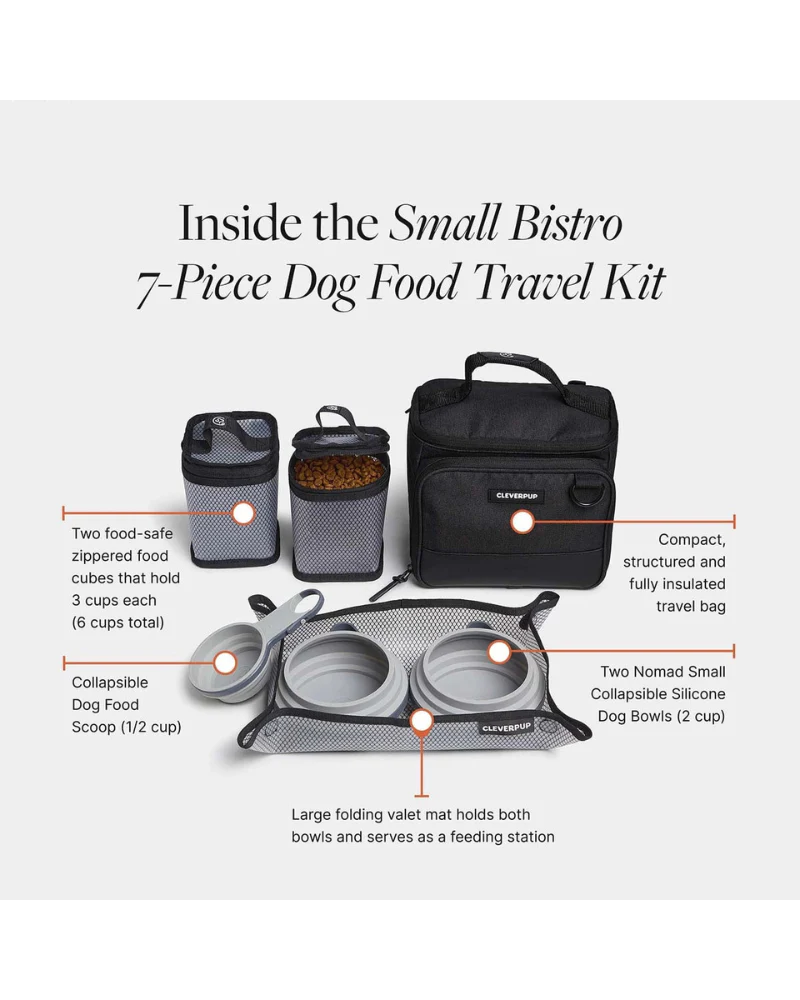 Bistro Box Dog Food Travel Kit in Check - Image 4