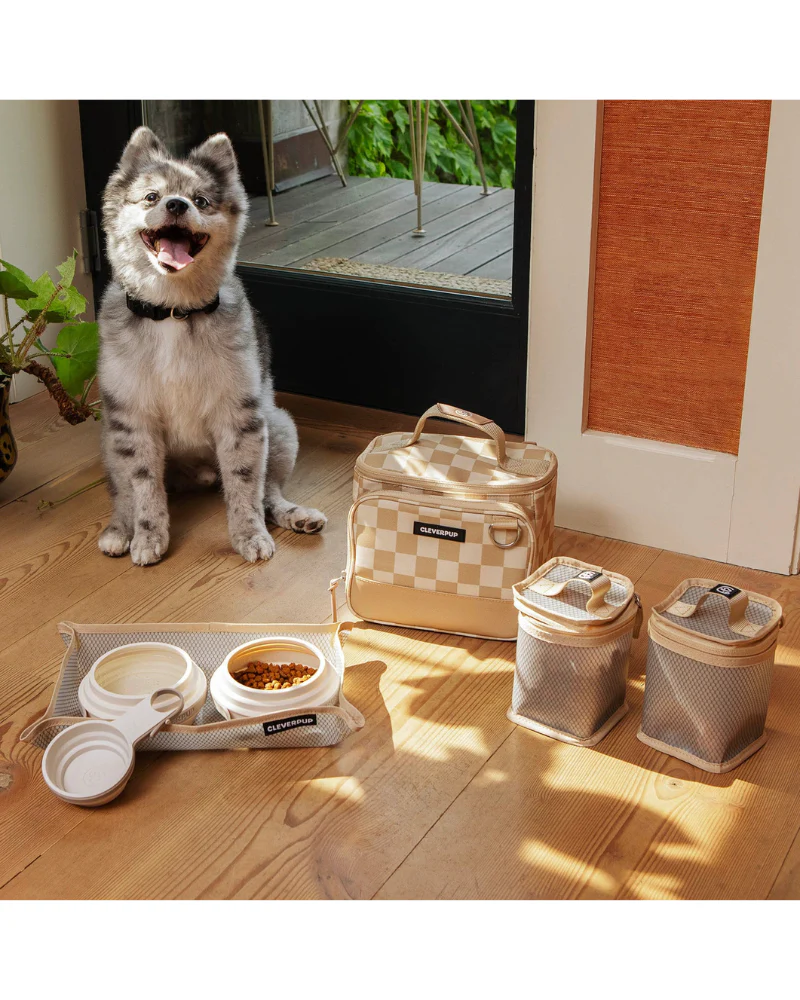 Bistro Box Dog Food Travel Kit in Check - Image 5