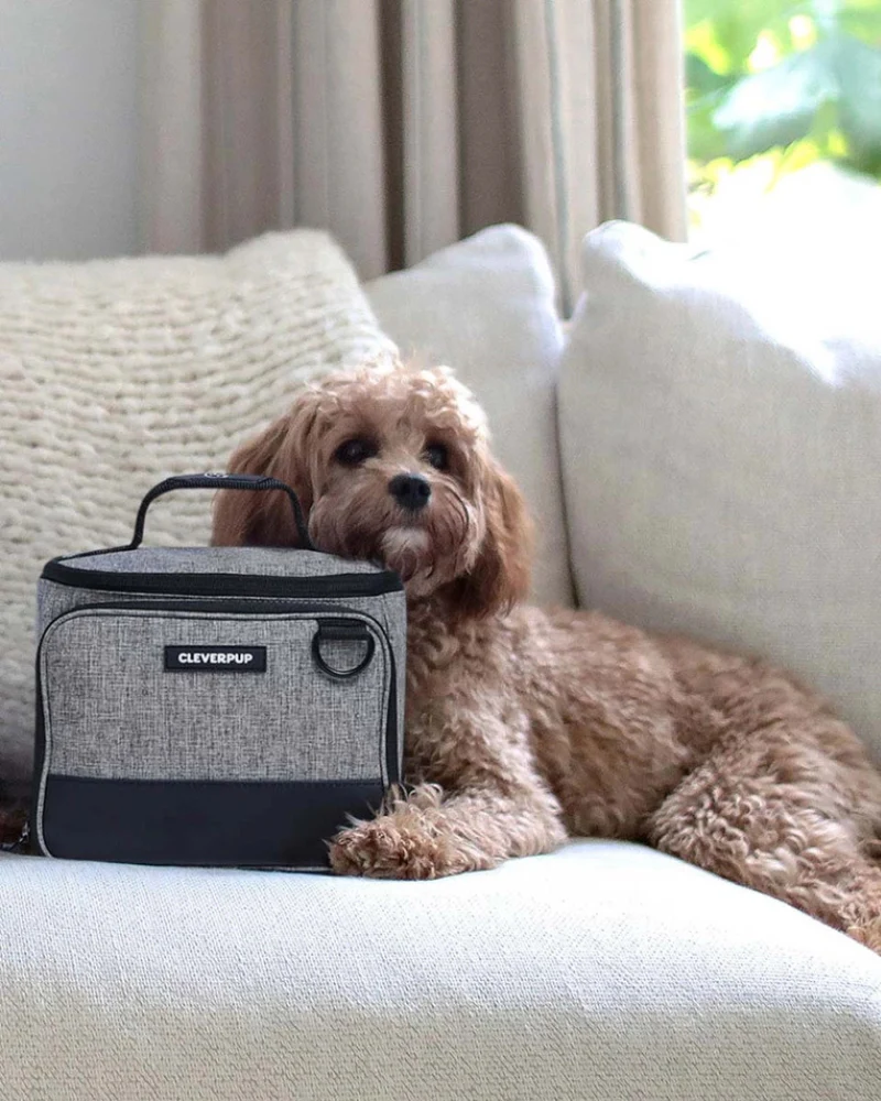 Bistro Box Dog Food Travel Kit - Image 13