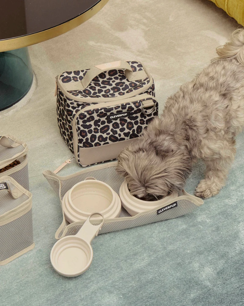 Bistro Box Dog Food Travel Kit - Image 5