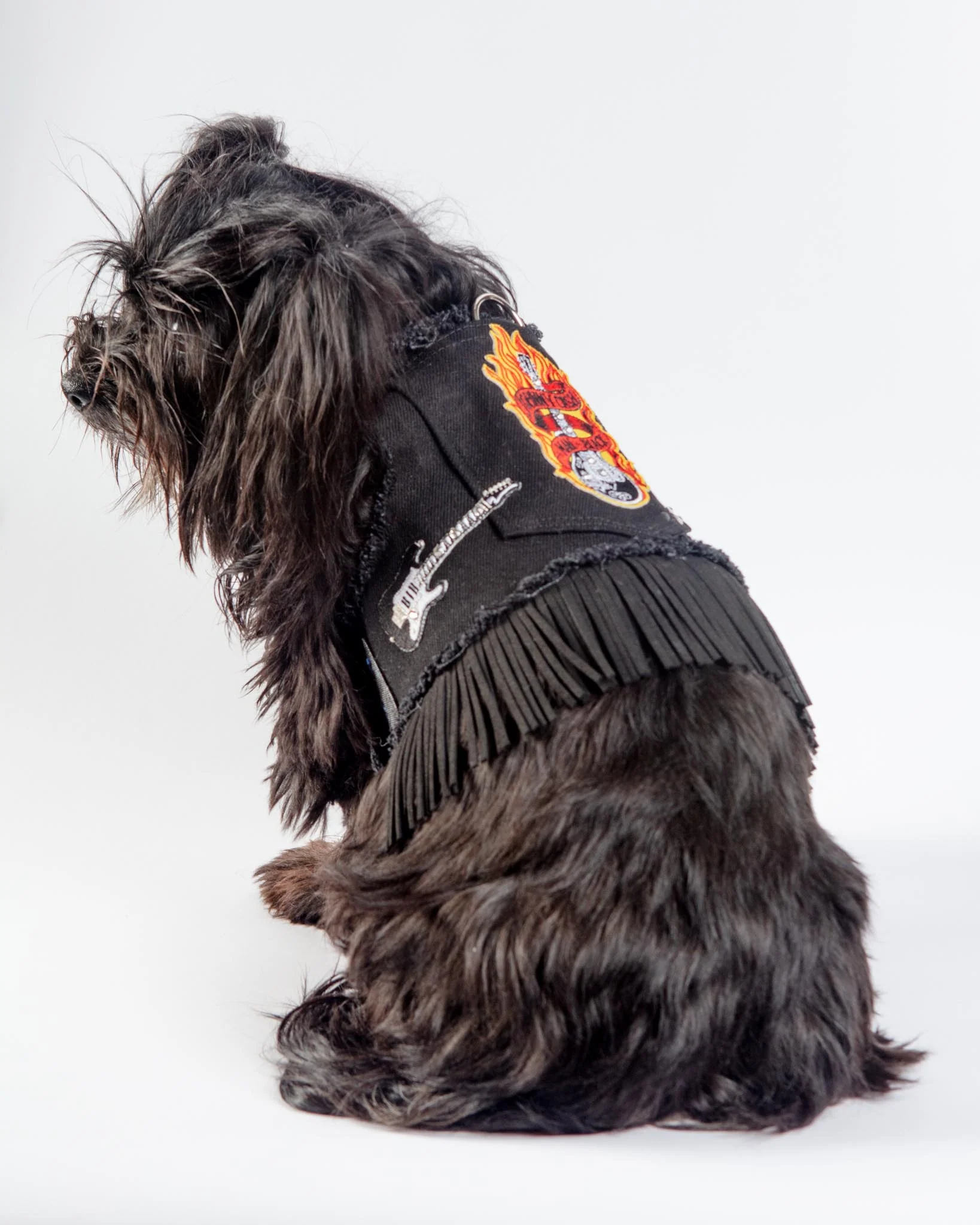 Black Denim Cowboy Dog Harness (Made in the USA) (FINAL SALE) - Image 5