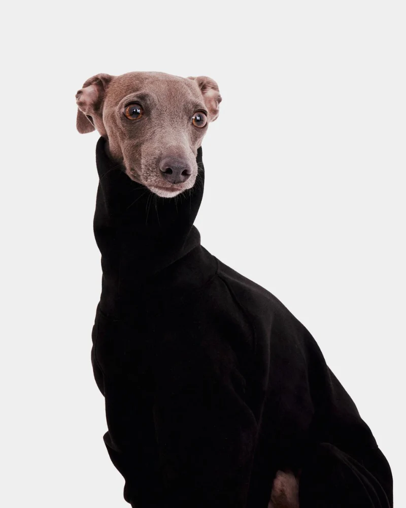 Dog Onesie in Black (FINAL SALE) - Image 2