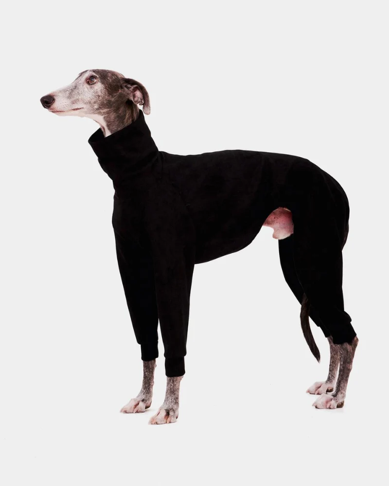 Dog Onesie in Black (FINAL SALE) - Image 3