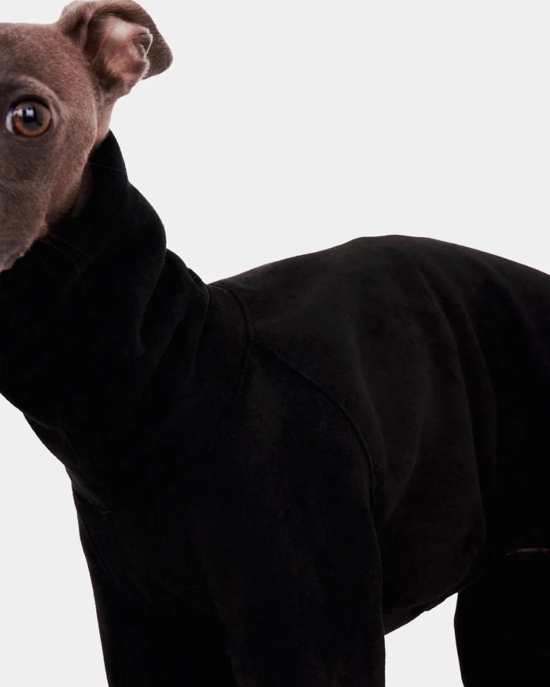 Dog Onesie in Black (FINAL SALE) - Image 4