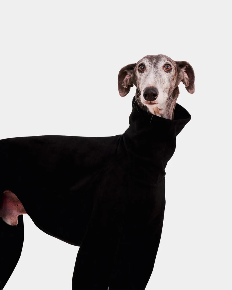 Dog Onesie in Black (FINAL SALE) - Image 5