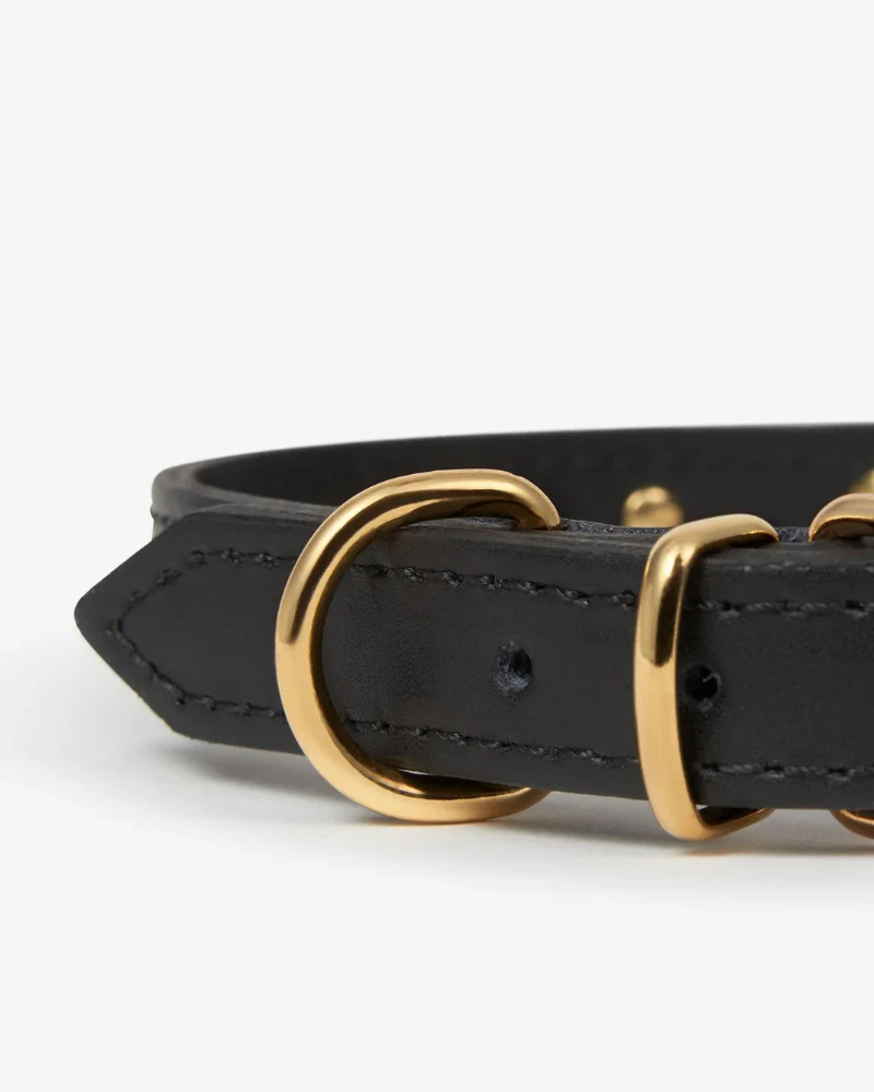 Black Nara Leather Dog Collar with Brass Stars (Made in Italy) (FINAL SALE) - Image 7