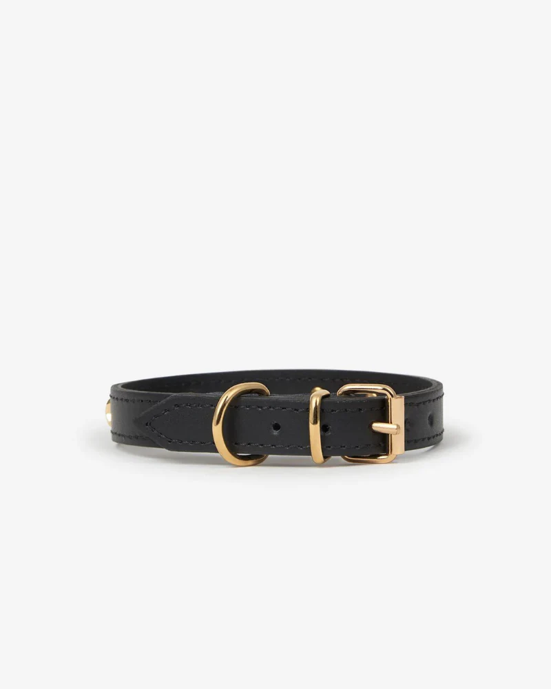 Black Nara Leather Dog Collar with Brass Stars (Made in Italy) (FINAL SALE) - Image 9