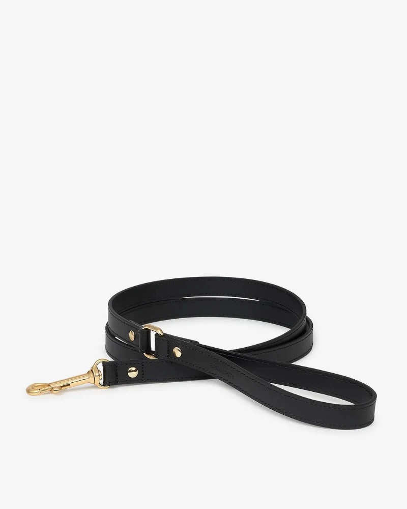 Black Nara Leather Dog Leash with Brass Hardware (Made in Italy) (FINAL SALE) - Image 2