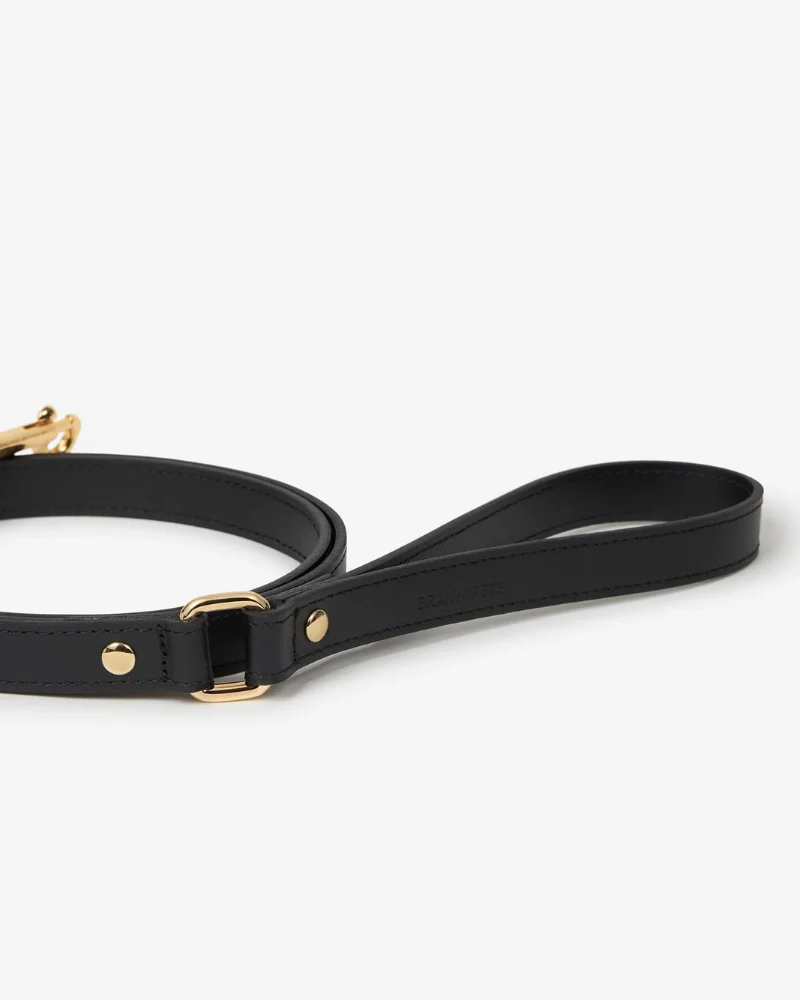 Black Nara Leather Dog Leash with Brass Hardware (Made in Italy) (FINAL SALE) - Image 6