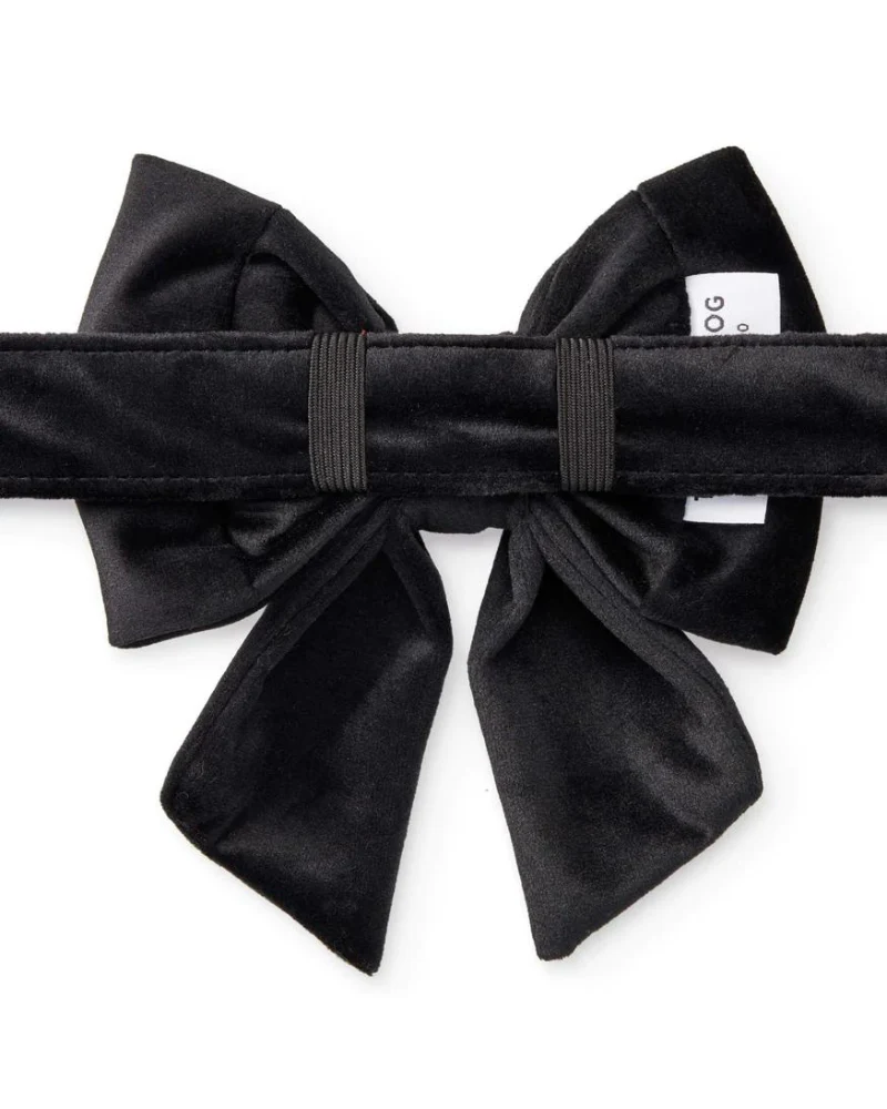 Black Velvet Dog Lady Bow (Made in the USA) (FINAL SALE) - Image 3
