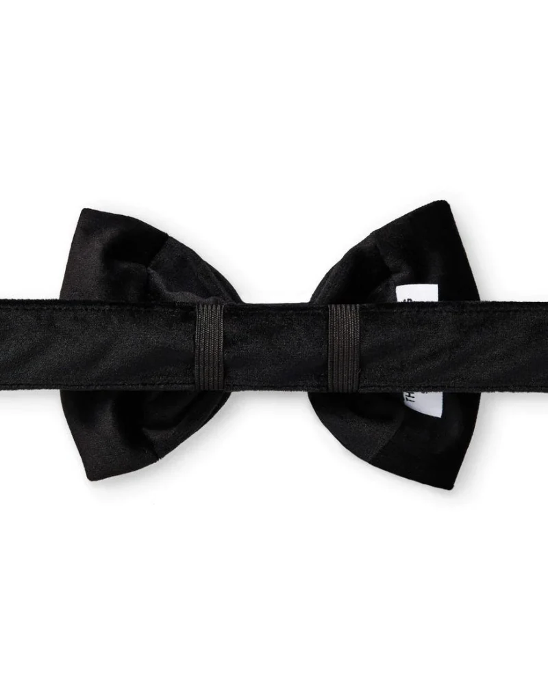 Black Velvet Dog Bow Tie (Made in the USA) - Image 4