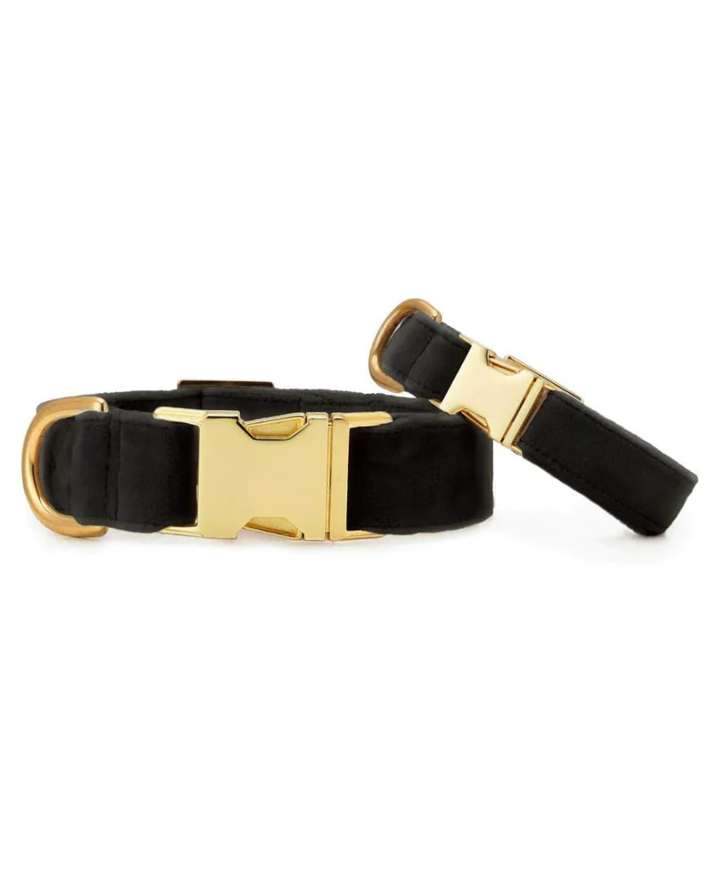 Black Velvet Dog Collar (Made in the USA) - Image 2