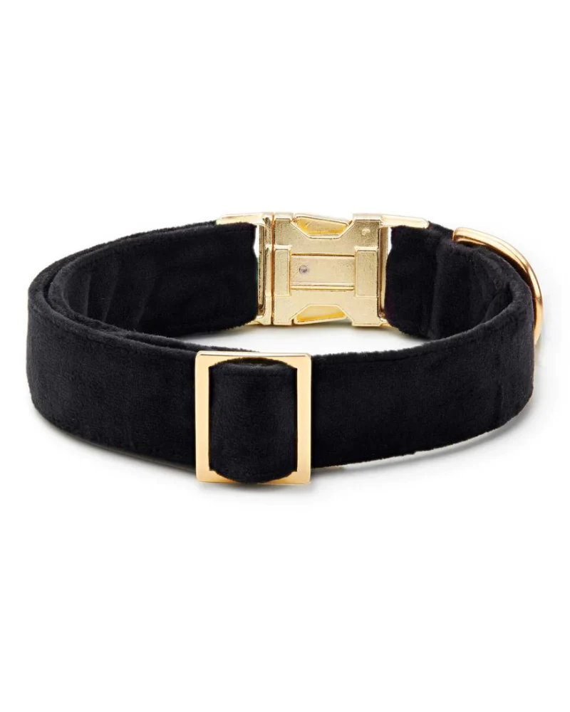 Black Velvet Dog Collar (Made in the USA) - Image 3
