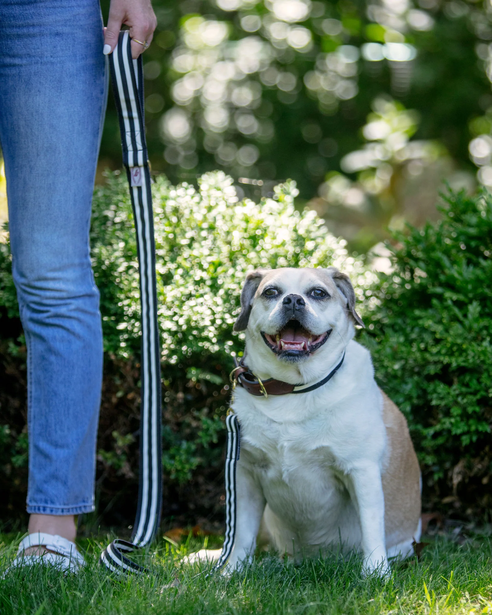 Black & White Stripe Dog Leash (Made in the USA) (FINAL SALE) - Image 2