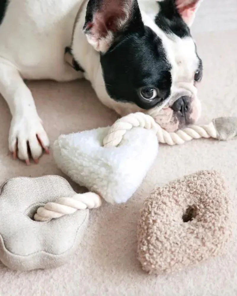 Blocs Interactive Tug Dog Toy - Image 4