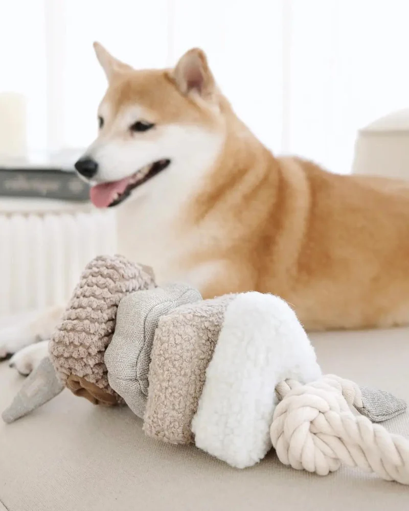 Blocs Interactive Tug Dog Toy - Image 5